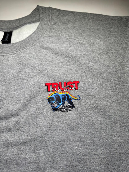 Gray t-shirt with a colorful graphic and 'TRUST' text on a plain background
