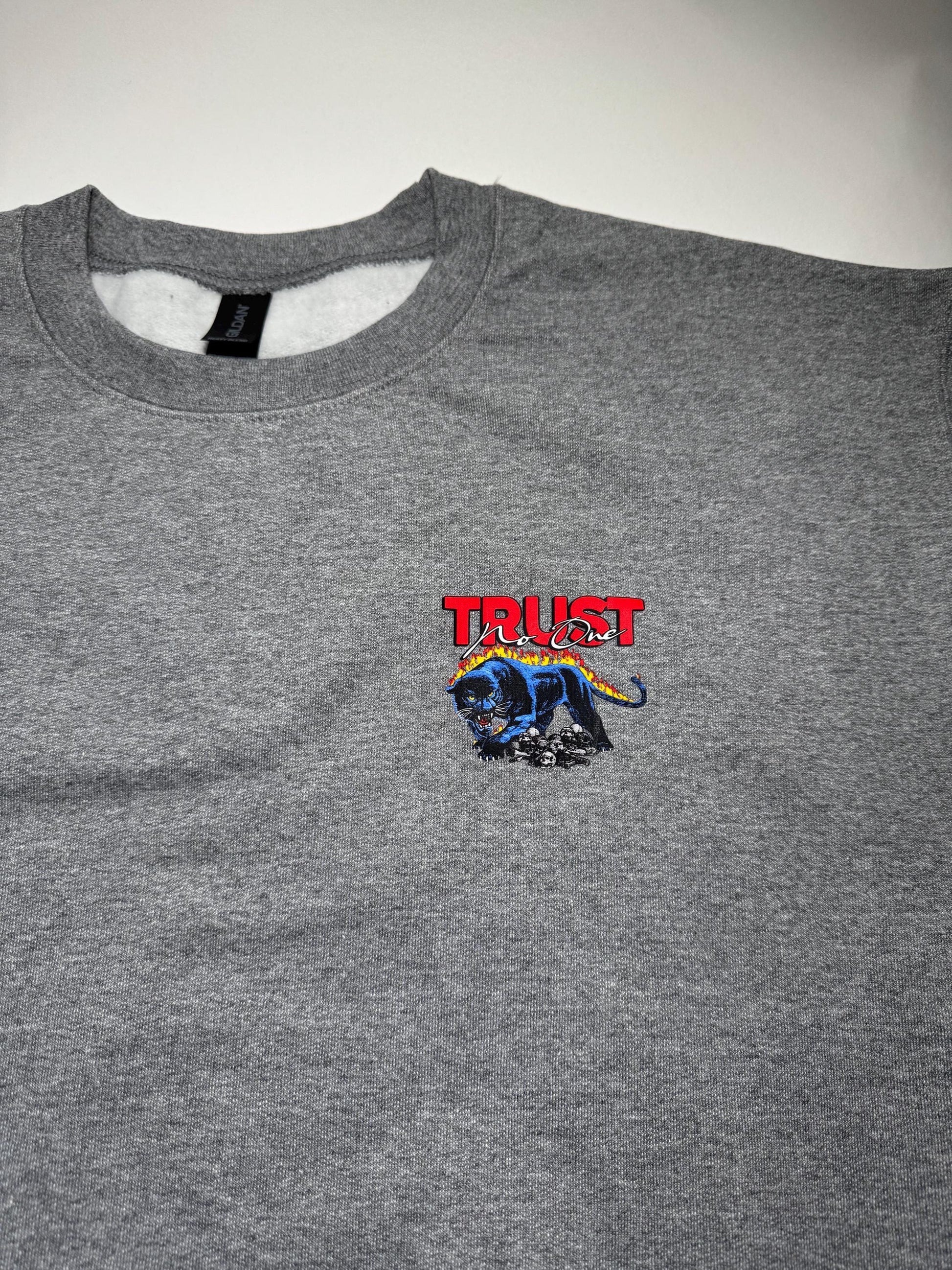Gray sweatshirt with a colorful panther graphic and 'TRUST' text on a white background